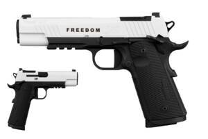 SIG SAUER 1911X FREEDOM 45ACP 5" 8+1  #