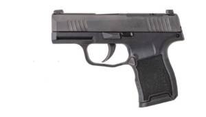 SIG SAUER P365 380ACP BLK 10+1 NS