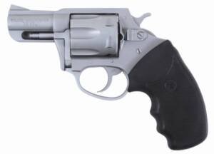 CHARTER ARMS CHARTER POL UNDRCVR 38SP SS 2"