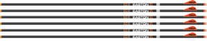 EASTON ARROW 6.5MM HUNTER CLSC - 500 W/2" BULLY VANES 6-PACK