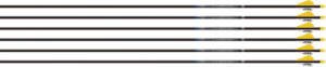 EASTON ARROW SONIC 6.0 300 - W/2" BULLY VANES 6-PACK