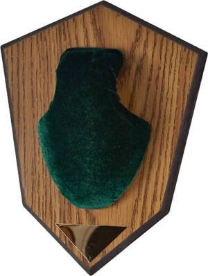 ALLEN ANTLER MOUNTING KIT - GREEN