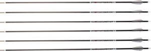 CARBON EXPRESS ARROW PREDATOR - AIR 500 2" Q2i VANES 6PK