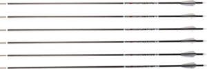 CARBON EXPRESS ARROW PREDATOR - AIR 400 2" Q2i VANES 6PK